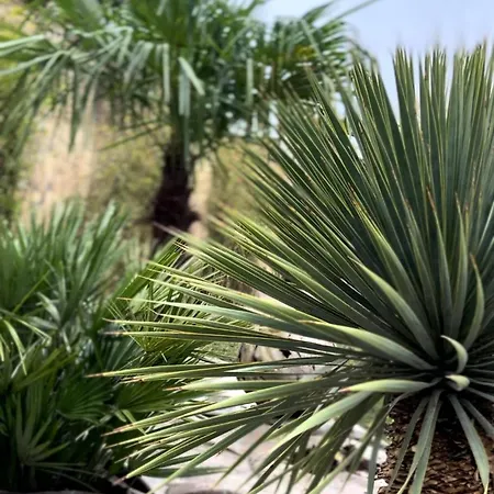 L'ecrin Secret בית הארחה איירה-סור-לה-ליס